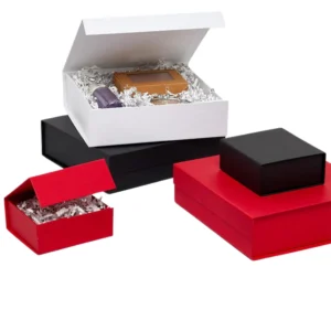 Rigid Boxes with Magnetic Closure